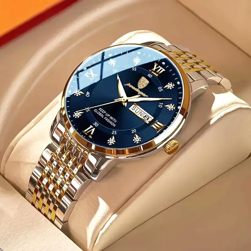 WhatsApp Image 2025-10-04 at 7.59.41 PM Dianpai Men's Luxury Automatic Mechanical Watch - Luminous Blue Dial, Roman Numerals, Date Display, Stainless Steel Band - Image 1